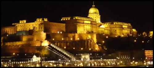 Buda castle 1