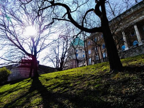 Castle From Walk