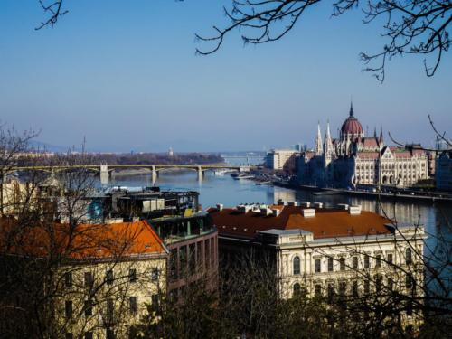 Parliament and Danube